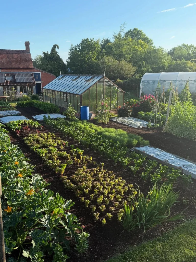 How to Start A Farm From Scratch – Beginner’s Guide To Growing Vegetables For Profit