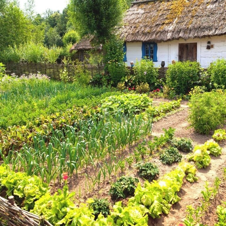 15 Food Forest Ideas to Create an Edible Ecosystem