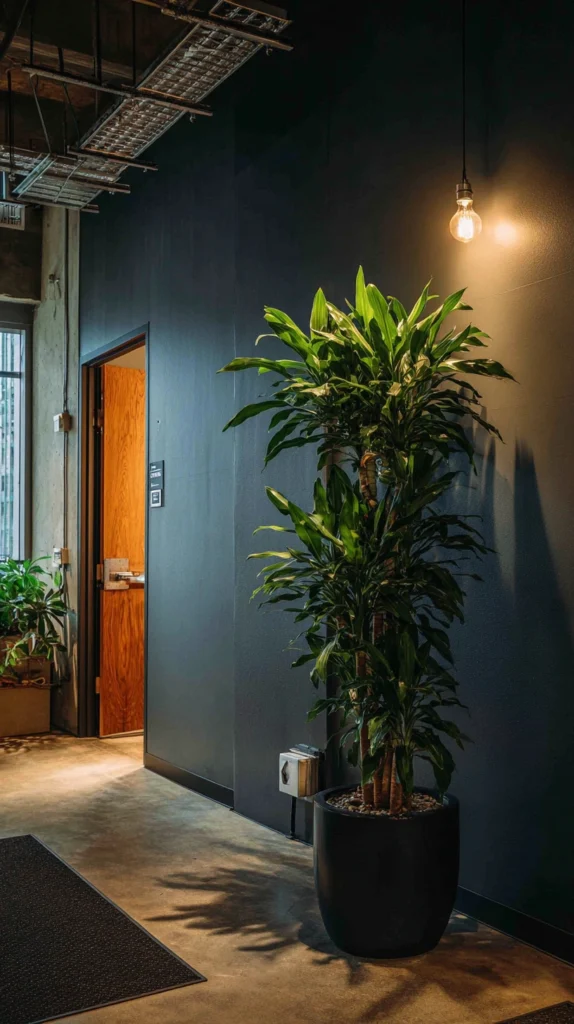 16 Best Indoor Plants That Don’t Need Sunlight 11 tg 9 1