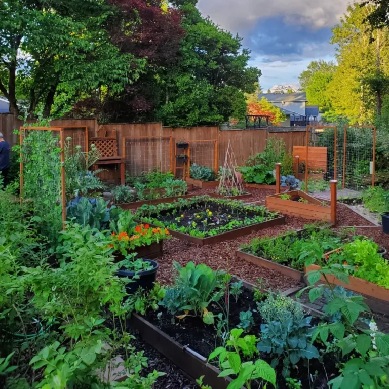 15 Vegetable Garden Layout Ideas for Every Gardener