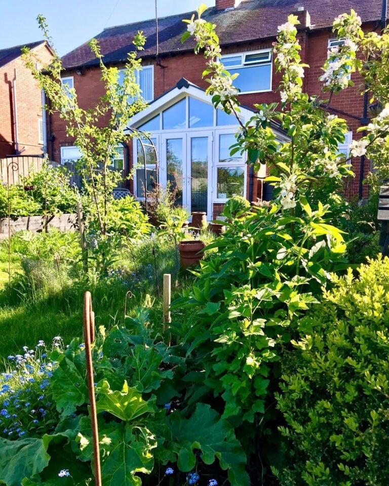 15 Mini Food Forest Ideas for Small Yards and Urban Spaces