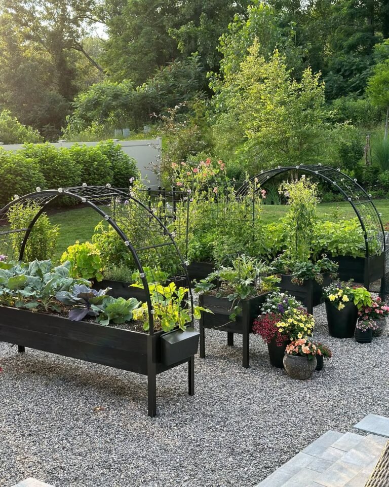 13 DIY Garden Arches Ideas To Frame Your Beautiful Backyard