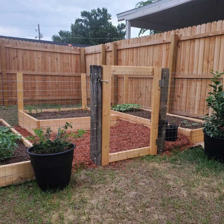 16 Creative Raised Garden Bed Layout Ideas for Your Dream Backyard