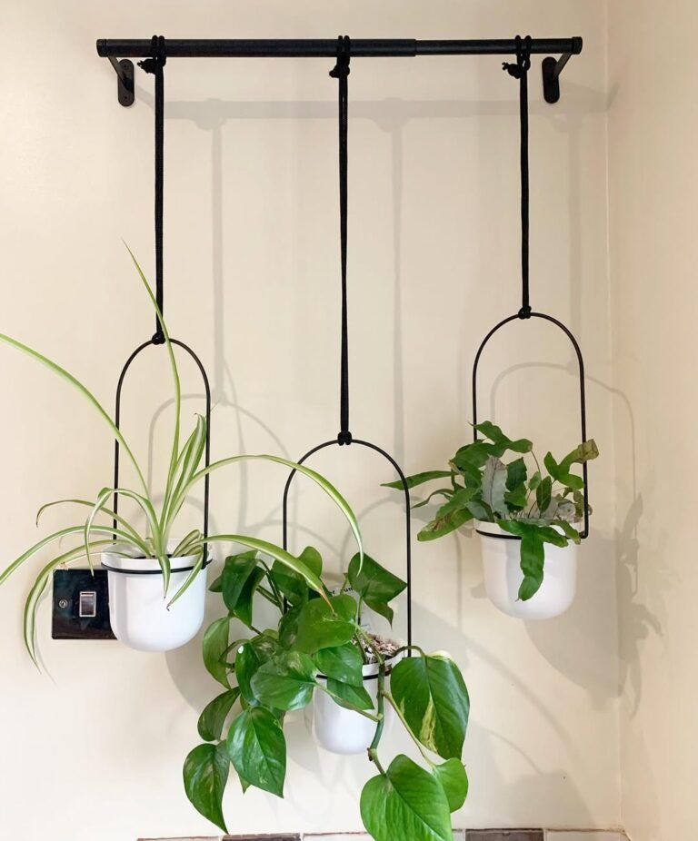 15 Houseplant Display Ideas That Just Feel Right 21 15 Houseplant Display Ideas That Just Feel Right