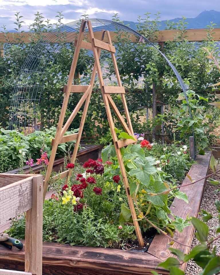 15 Stunning Garden Trellis Ideas You’ll Love