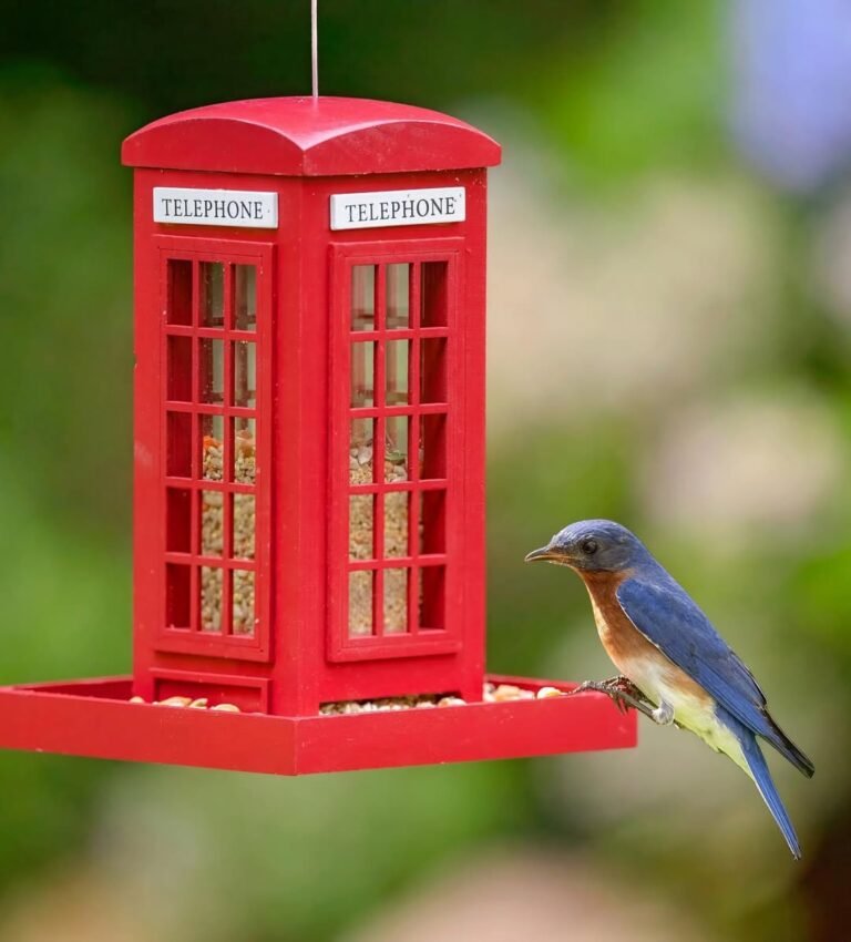 15 Wildlife Feeding Station Ideas to Bring Nature to Your Backyard