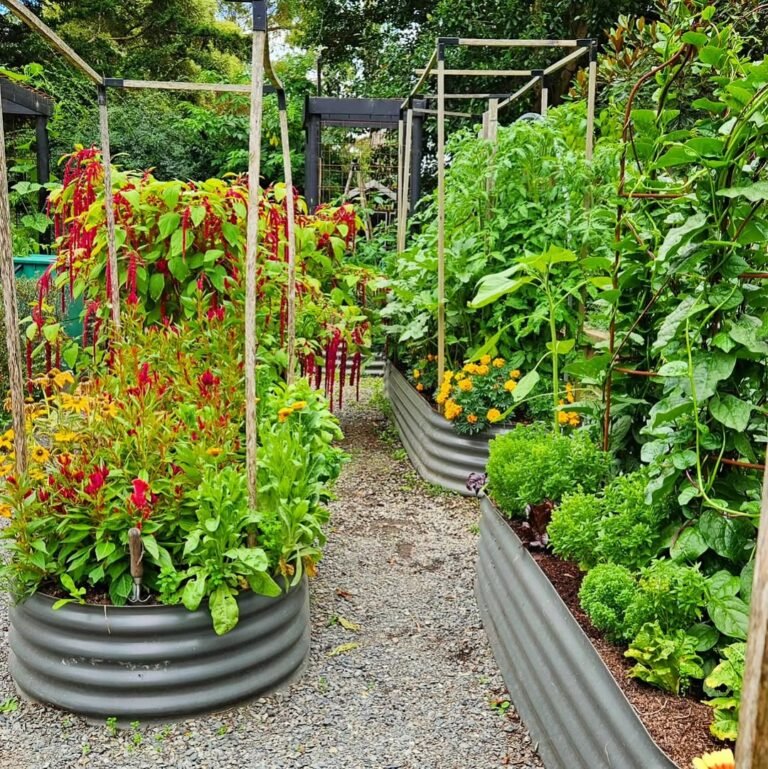15 Edible Hedge Garden Ideas: Transform Borders into Food Production