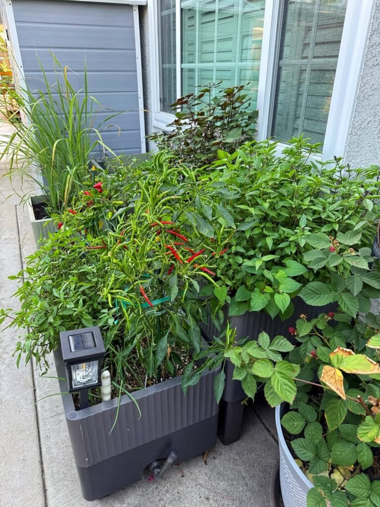 15 Creative Small Vegetable Garden Design Ideas