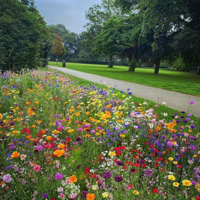 15 Wildflower Garden Ideas for a Natural Summer Look