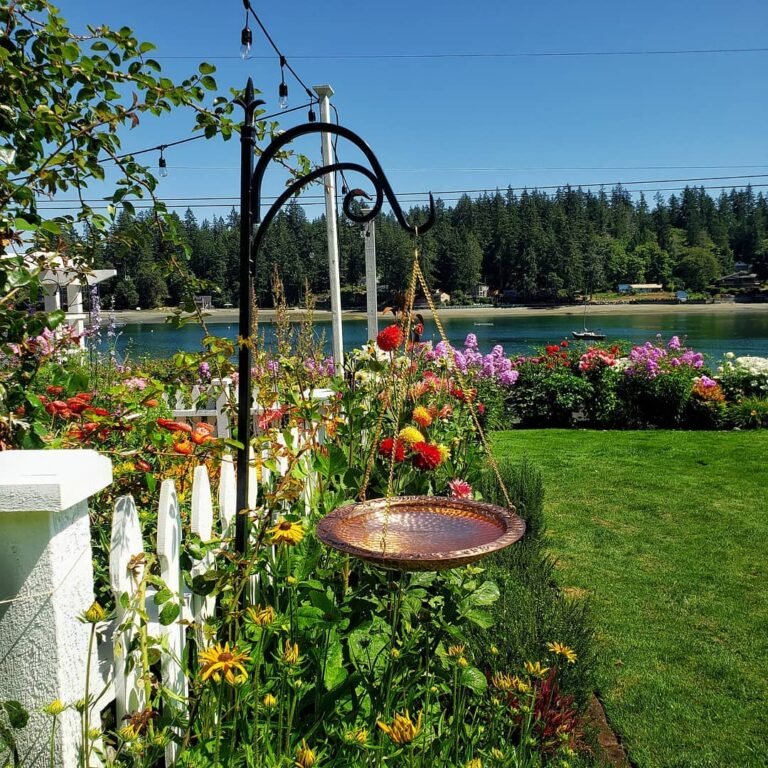 15 Bird Bath Garden Ideas to Attract More Wildlife