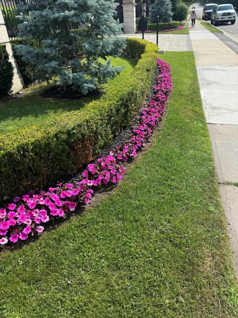 14 Low-Maintenance Garden Ideas Perfect for Hot Summers