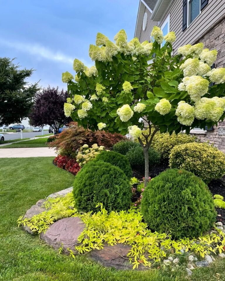 14 Summer Front Yard Planting Ideas Inspired by 2026 World Cup Nation Colors