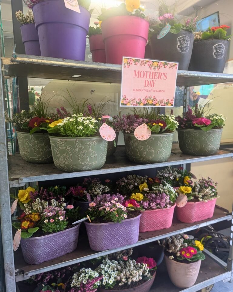 15 DIY Mother's Day Gift Ideas for Garden-Loving Moms 19 15 DIY Mother’s Day Gift Ideas for Garden-Loving Moms