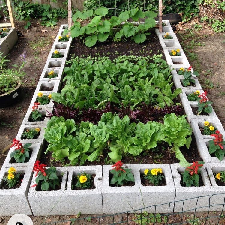 14 Cinder Block Garden Ideas