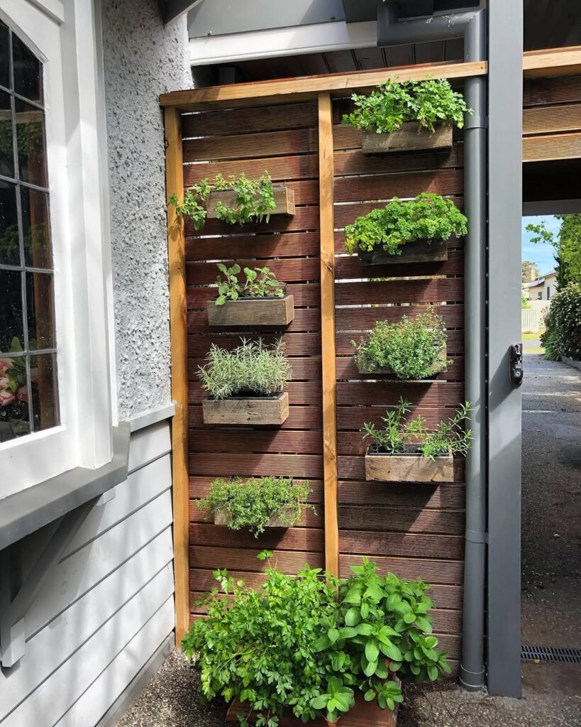 Lush Vertical herb garden we installed several months ago. We used recycled hardwood fence palin
