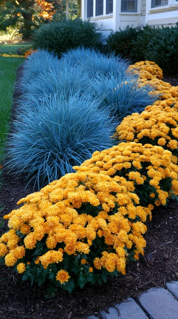 14 Mums and Ornamental Grass Garden Combos for Fall 8 de 6 2