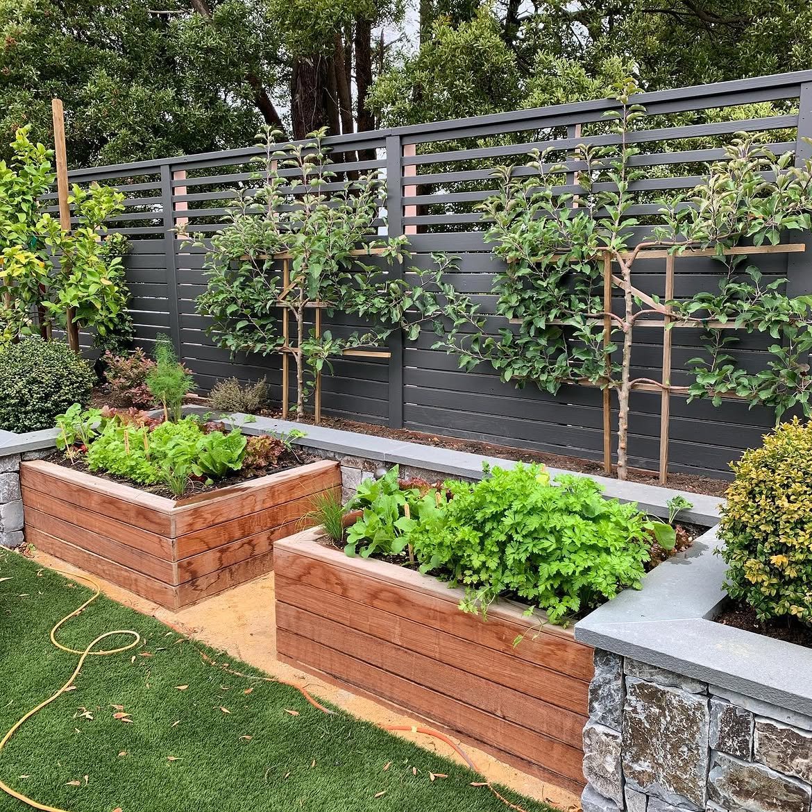 Tidy wood planter boxes anchored into the stone wall and mirrored by two espalier apple trees al